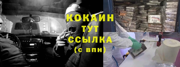 прущий лед Дмитриев