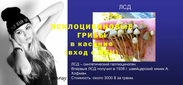 ПСИЛОЦИБИНОВЫЕ ГРИБЫ Гусь-Хрустальный