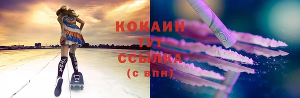 ПСИЛОЦИБИНОВЫЕ ГРИБЫ Гусь-Хрустальный