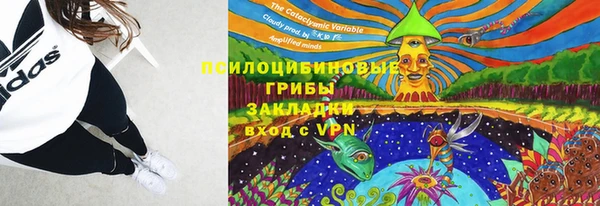 стаф Гусиноозёрск