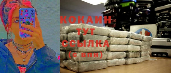 ПСИЛОЦИБИНОВЫЕ ГРИБЫ Гусь-Хрустальный