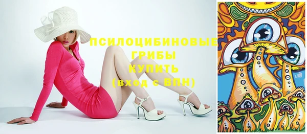 стаф Гусиноозёрск