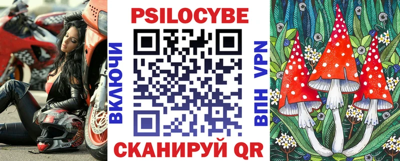 Купить где  Камызяк  Псилоцибиновые грибы мухоморы 